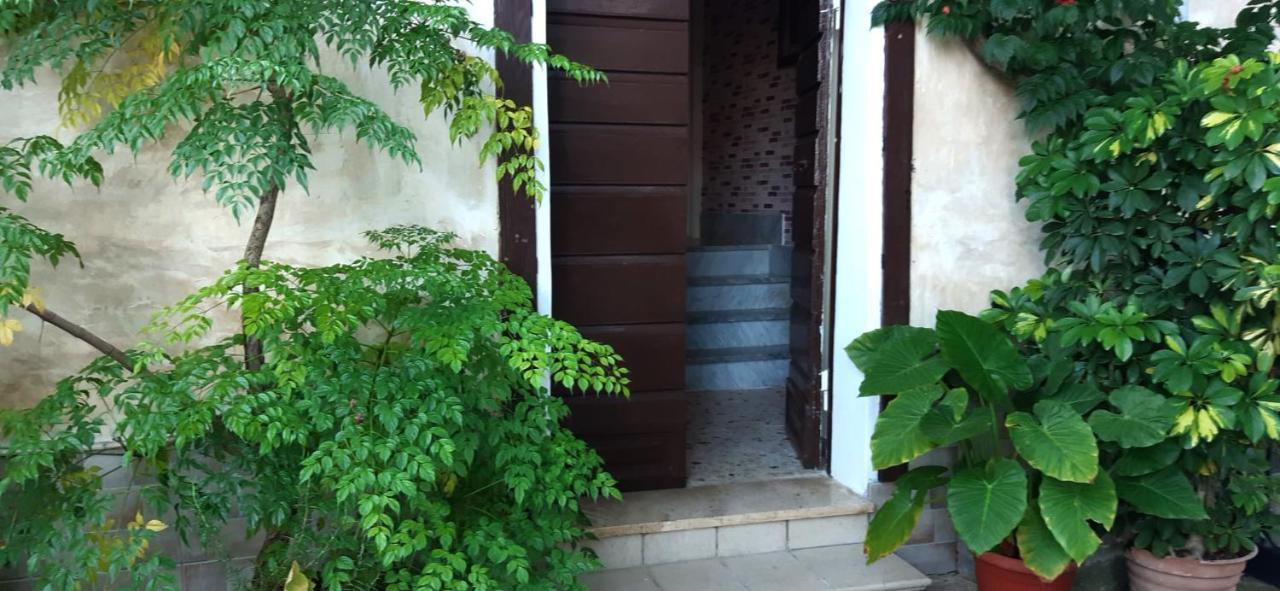 דירות טרצ'ינה A Casa Di Carla מראה חיצוני תמונה
