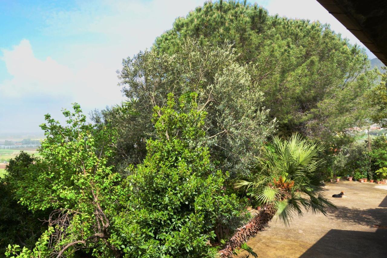 דירות טרצ'ינה A Casa Di Carla מראה חיצוני תמונה
